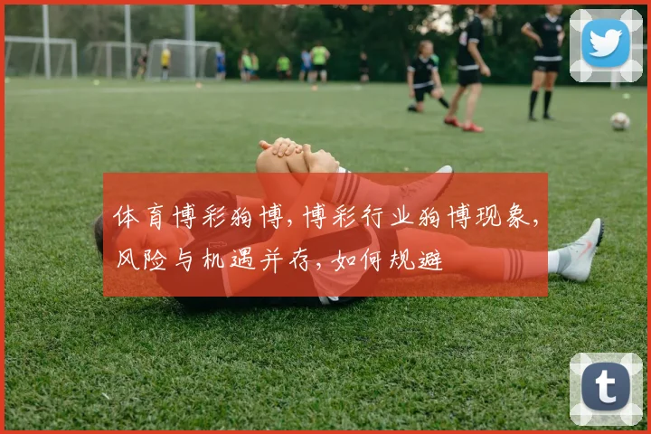 体育博彩狗博,博彩行业狗博现象,风险与机遇并存,如何规避