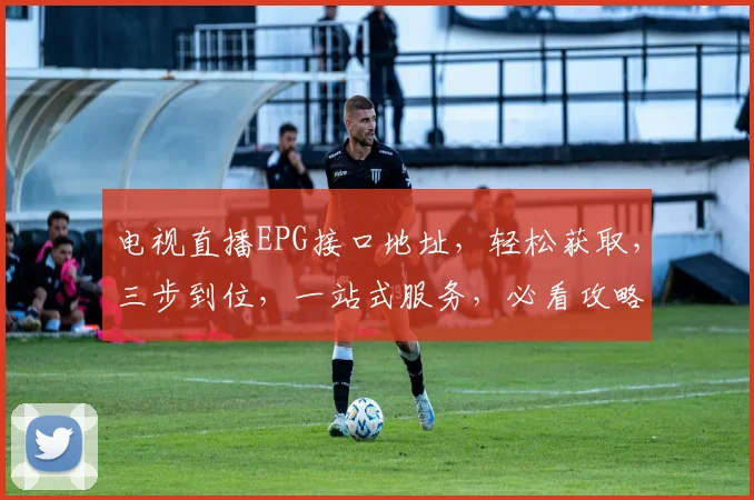 电视直播EPG接口地址，轻松获取，三步到位，一站式服务，必看攻略